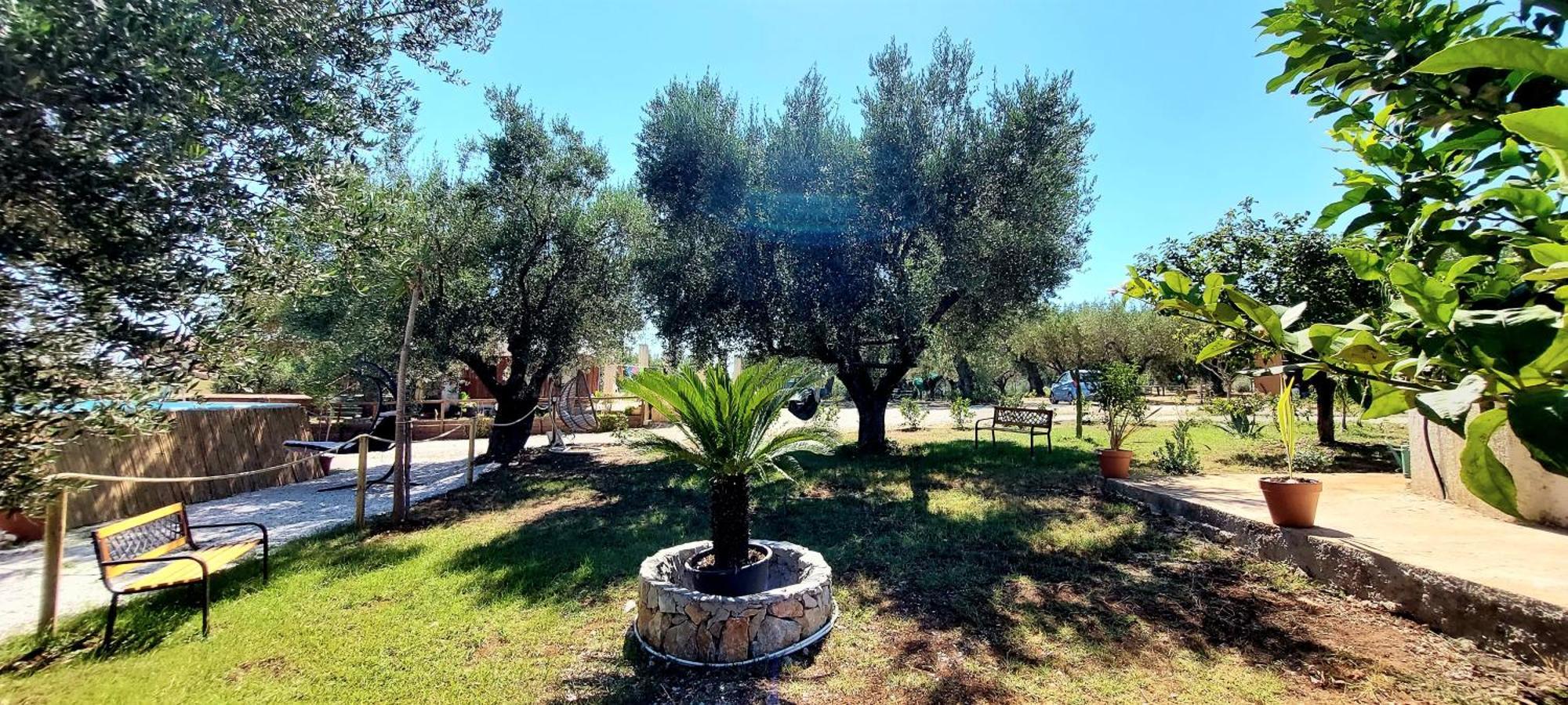 Parco Esmeralda - Rooms e Breakfast Marina di Camerota Exterior foto